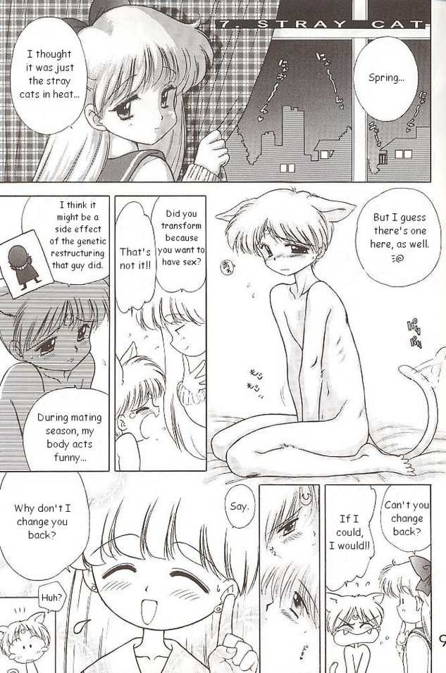 Sailor Venus - The Stray Cat page 1 full