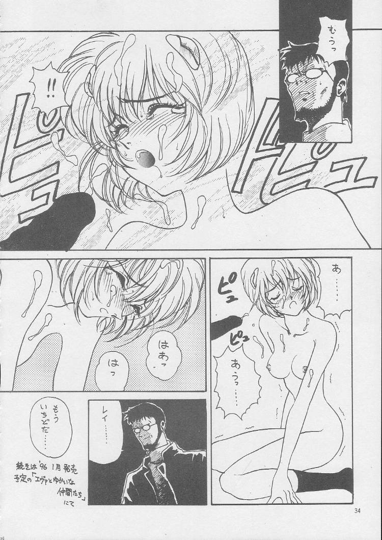 (C49) [Tsuchinoko Kyoukai (Tsunoda Saburoo, Kouenji Marimo, Makise Rihoko)] Ayanami Gehin (Neon Genesis Evangelion) page 33 full