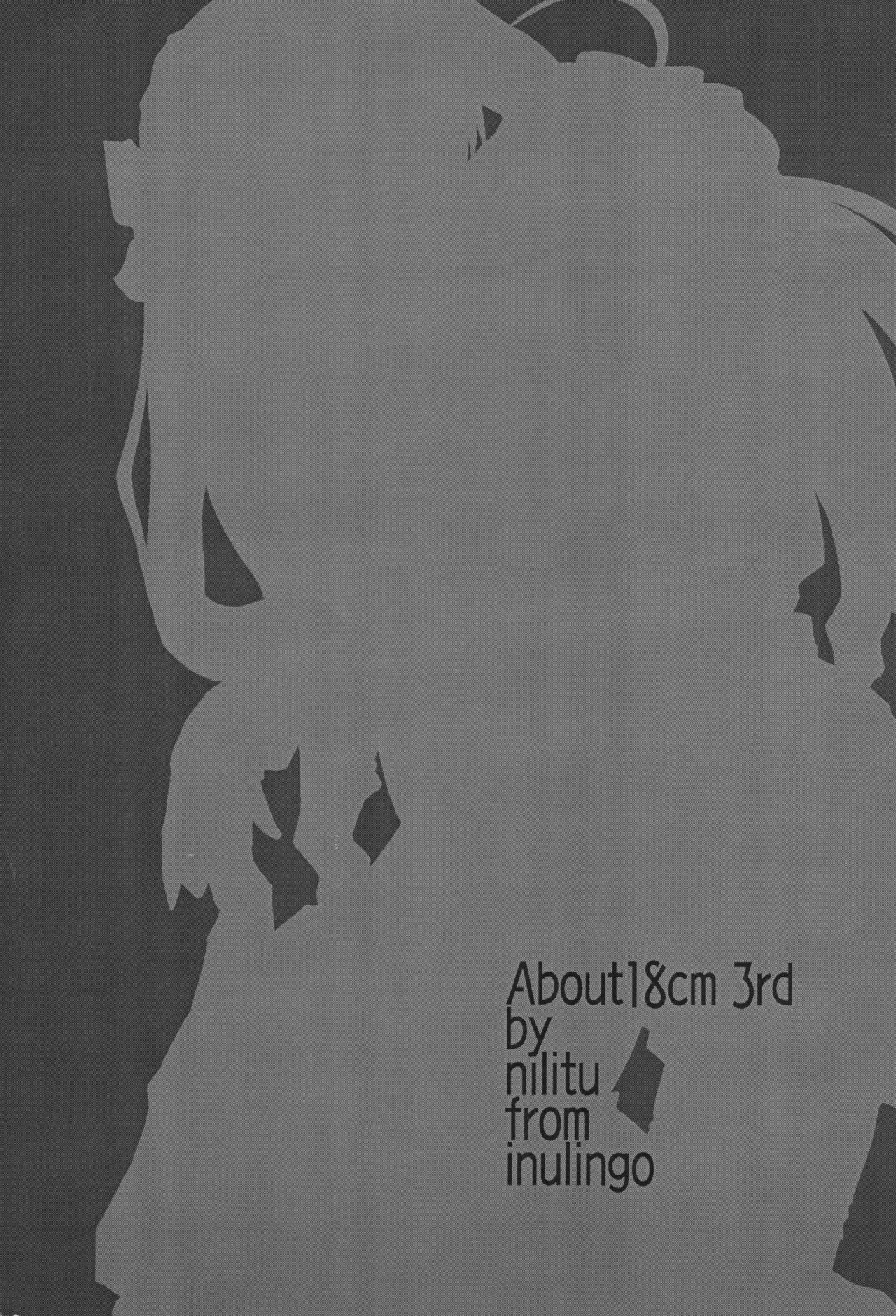 (SC32) [Inu Ringo, Nilitsu Haihan (Nilitsui)] About18cm 3rd (Fate/stay night) page 3 full