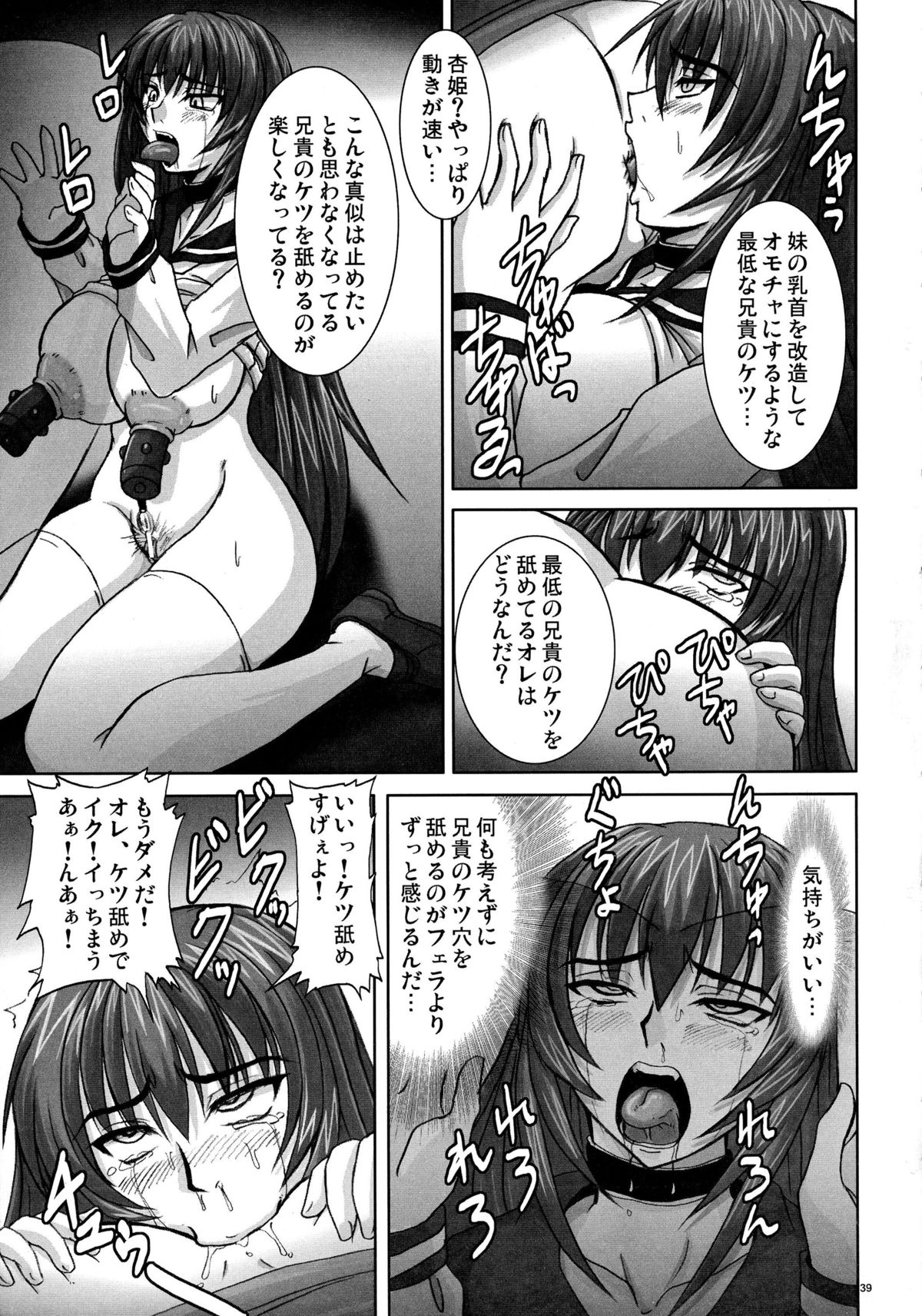 (C71) [Nozarashi (Nozarashi Satoru)] Gyakushuu no Kyouhime-sama page 39 full