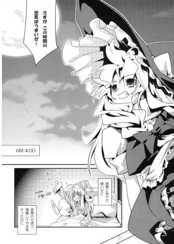 (C70) [Tiger 79 (Kagurazaka Nagu)] Higashi no Sora ga Shiramu Toki (Touhou Project) - page 3