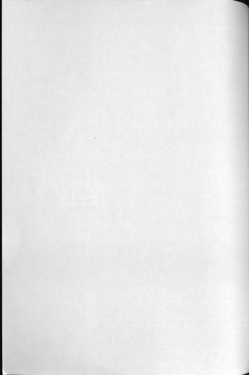 [Kouji Taura] F-Cup Girls Collection page 179 full
