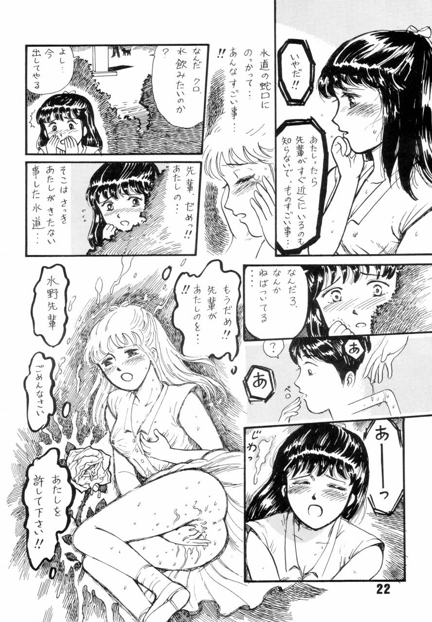 (C43) [THE GARDEN (Itou Masaya)] Natsu no Yoru wa Mitabi Hohoemu page 21 full