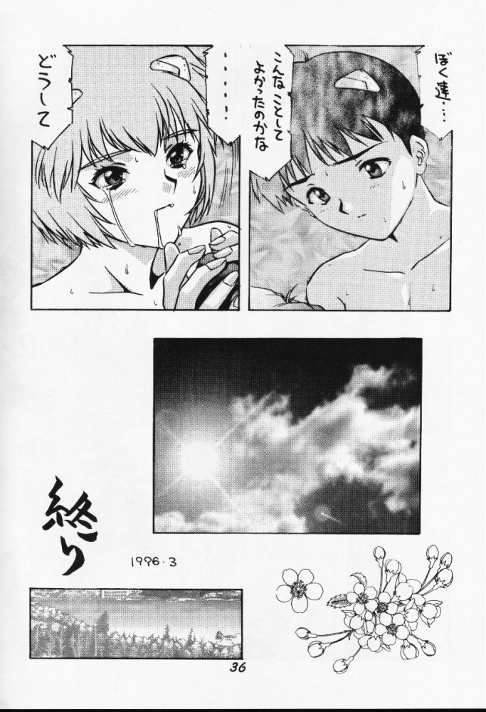 [Studio Kororin (R ARAN)] Mou, Kizutsuite mo ii (Neon Genesis Evangelion) page 36 full