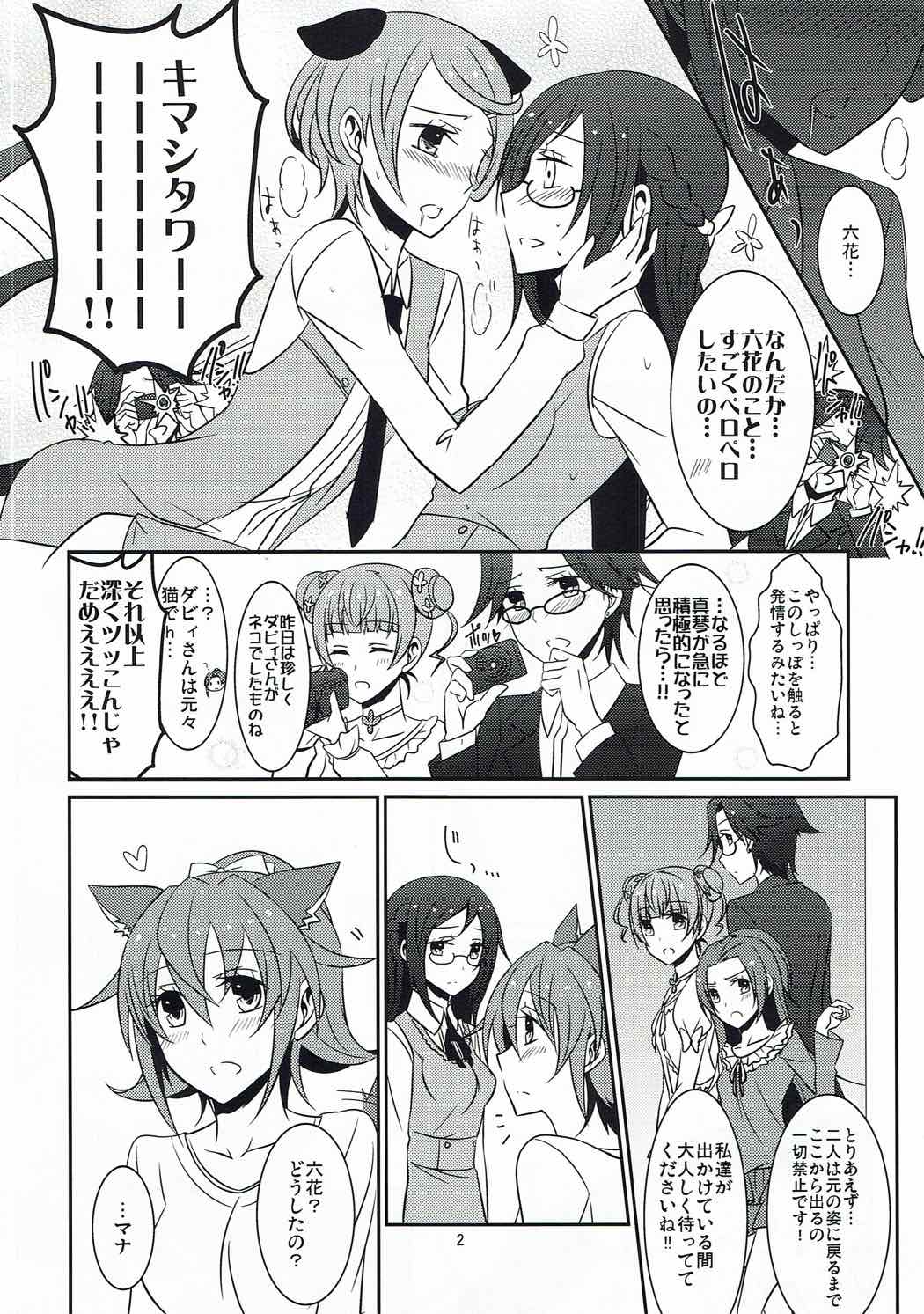 (C85) [434 Not Found (isya)] Wanko no Tadashii Shitsuke Kata 2 (Dokidoki Precure) page 3 full