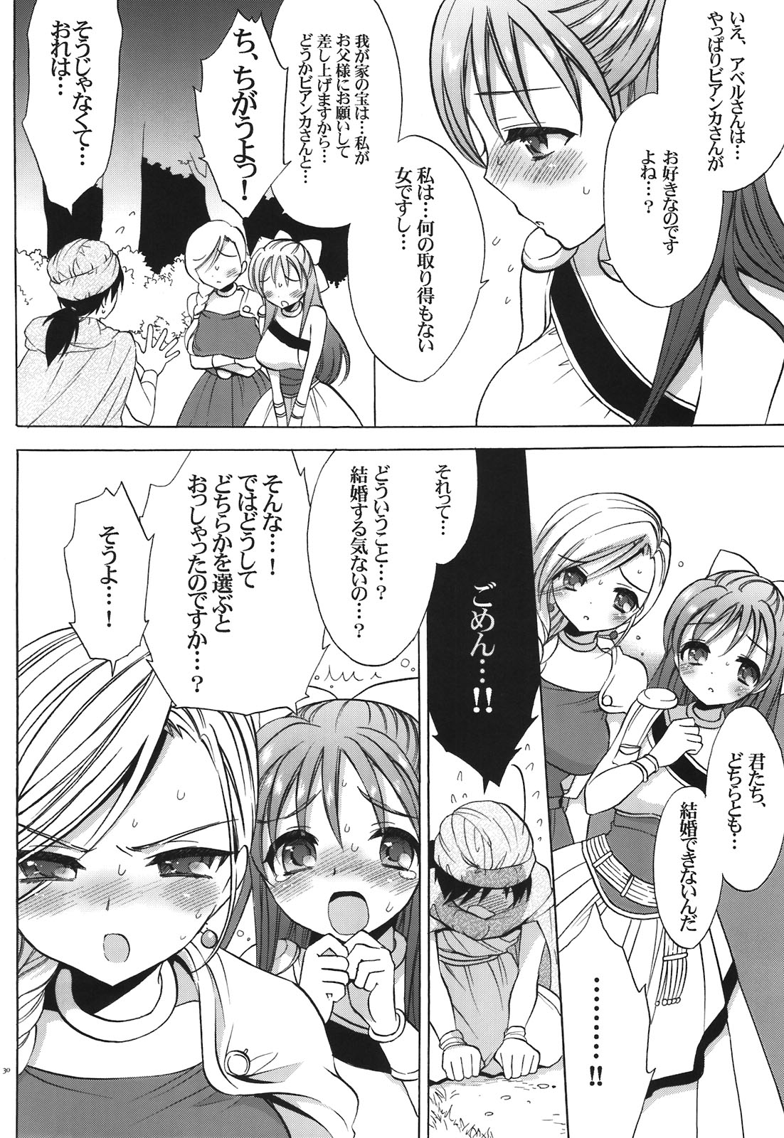 (C80) [CASMANIA (Mozuya Murasaki)] CASMANIA DQ Soushuuhen (Dragon Quest IV, V, VI) page 30 full