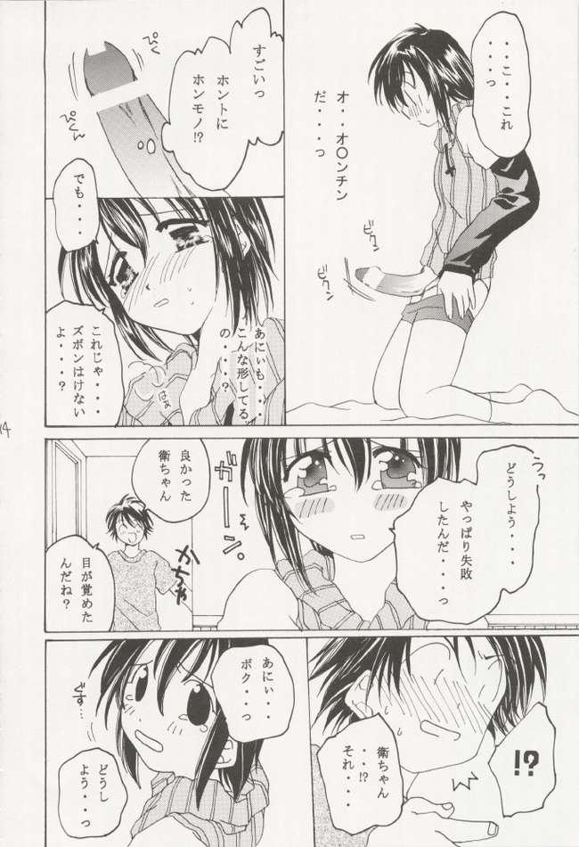 [You Miyamoto] Mamoru: Sister & Brother (Sister Princess) page 13 full