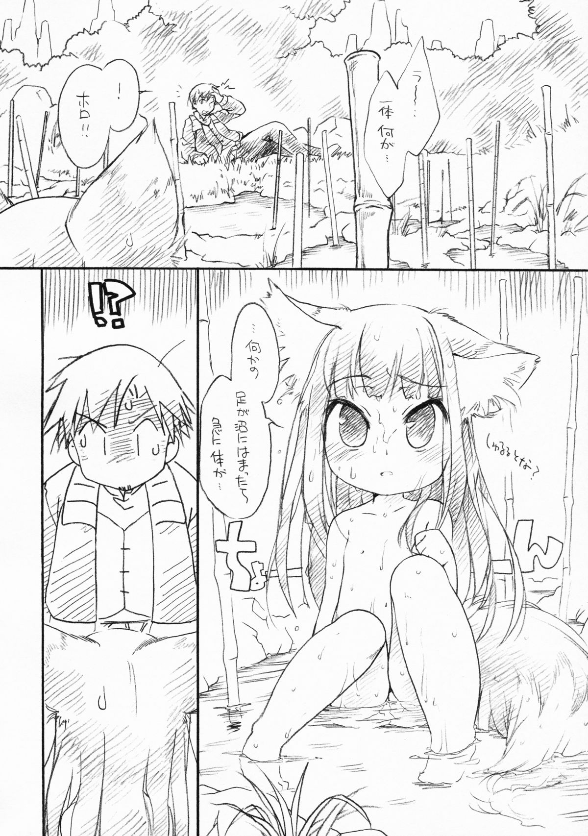 (C76) [Hinaprin (Ikuta Takanon)] Ookami no Soukessan (Spice and Wolf) page 50 full