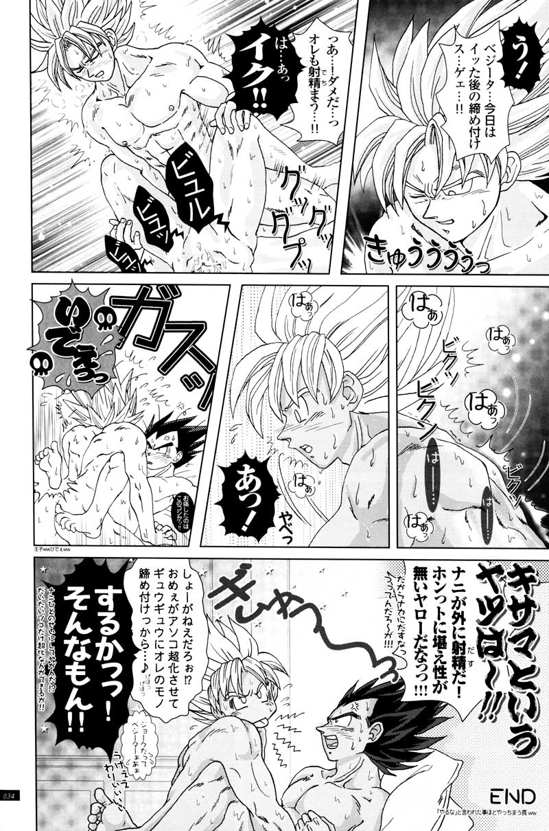 [GREFREE (ema)] Sairokua (Blaze, Voice, +A) (DRAGON BALL Z) page 32 full