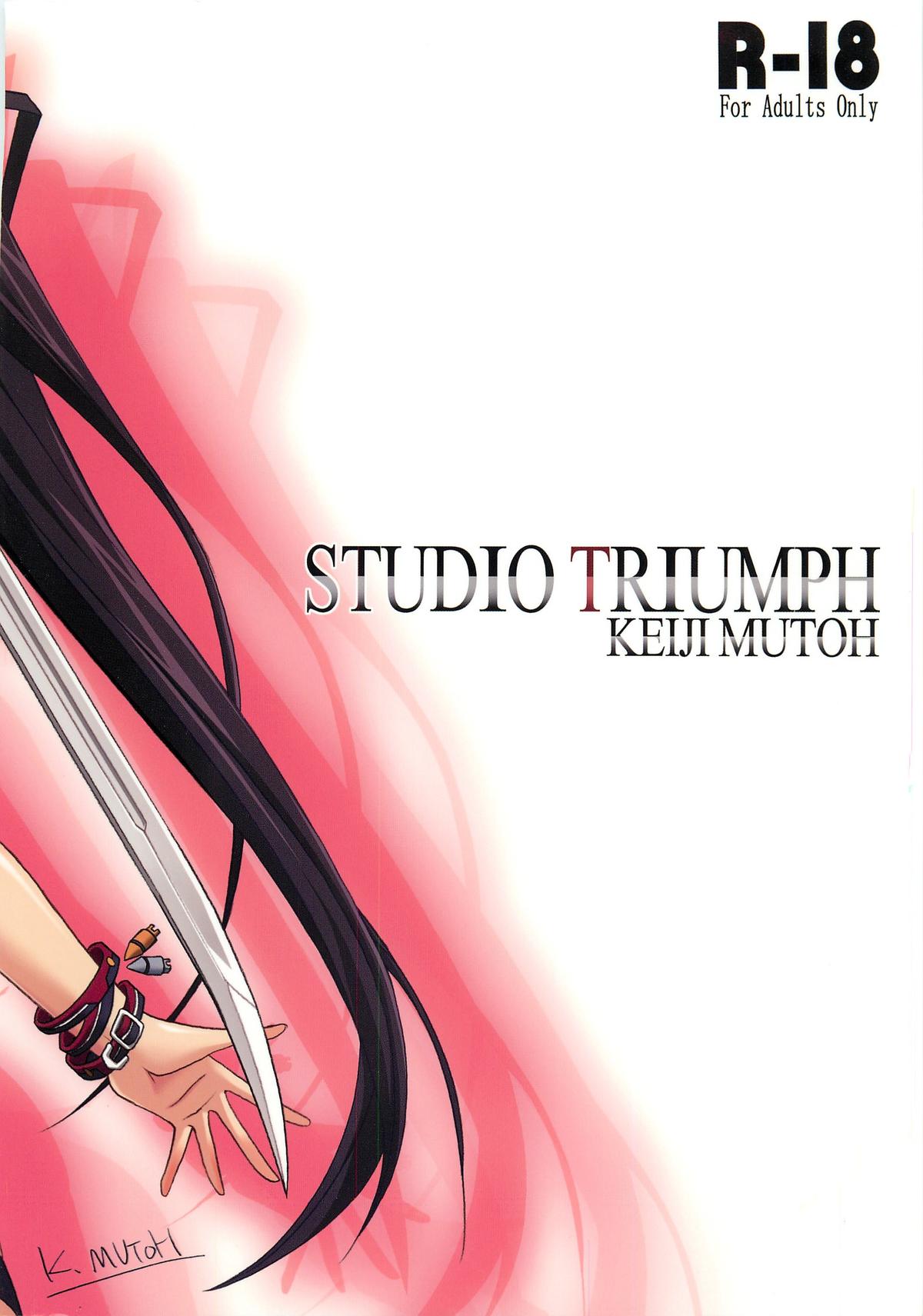 (C81) [STUDIO TRIUMPH (Mutou Keiji)] Astral Bout Ver.22 (Infinite Stratos) page 28 full