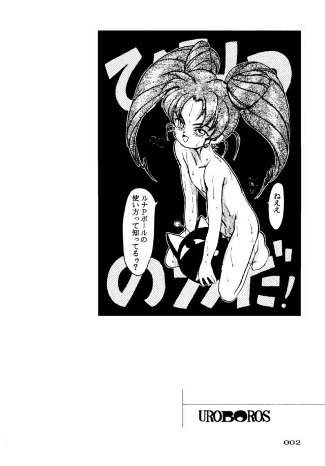 (C45) [UROBOROS (Various)] PARASELENE (Bishoujo Senshi Sailor Moon) page 3 full