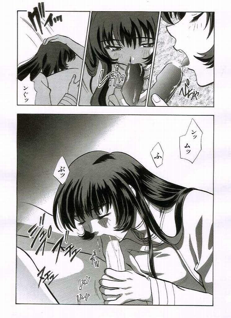 Otona no manga (Martian Successor Nadesico) page 13 full