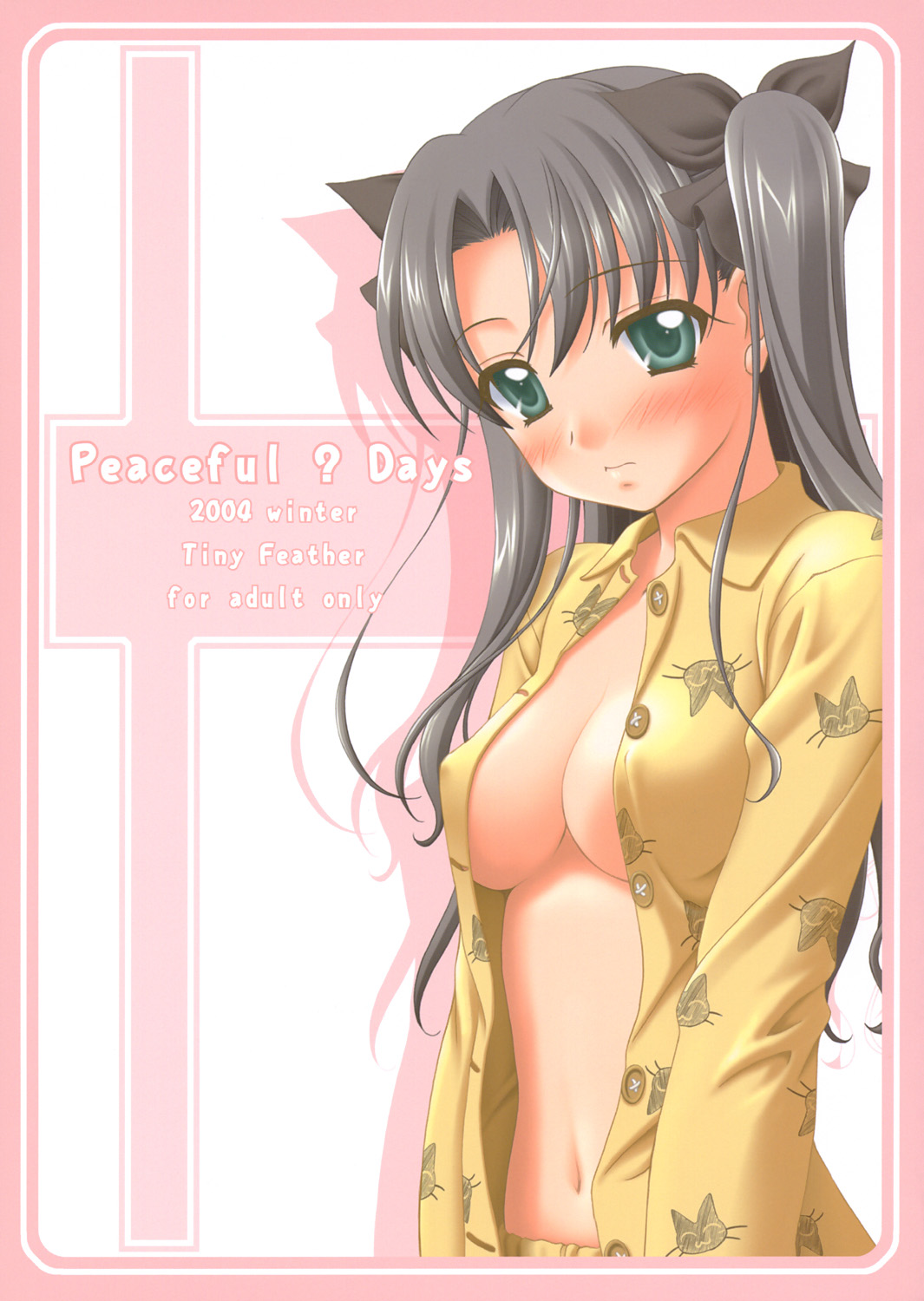 (C67) [Tiny Feather (Sin-Go)] Peaceful ? Days (Fate/stay night) page 1 full