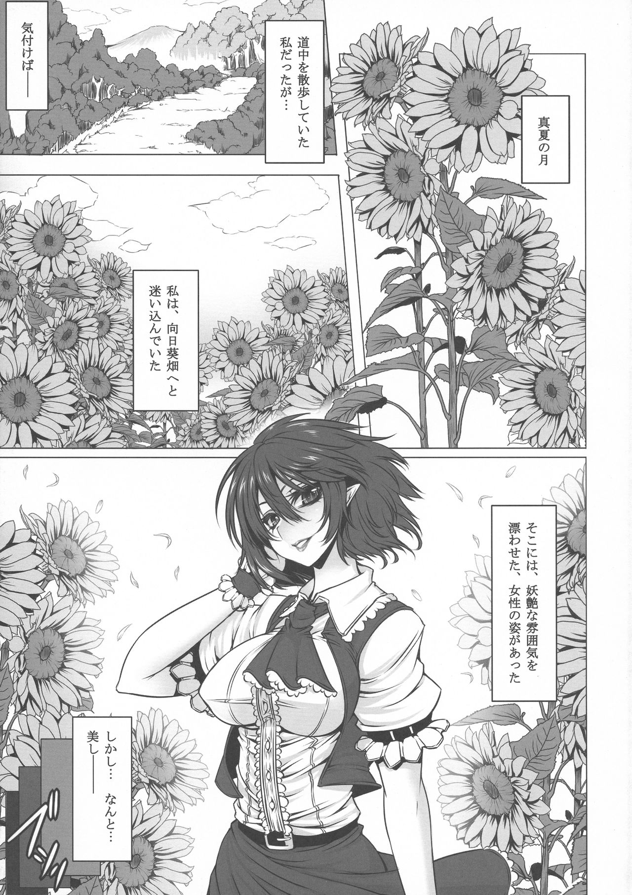 (C81) [Yume no Kyoukai (Suzuneko)] Yume no Kyoukai Soushuuhen (Touhou Project) page 13 full