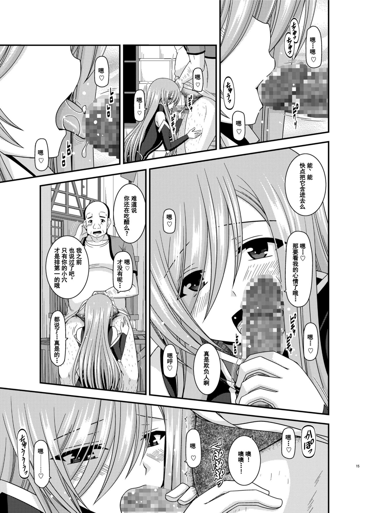 [valssu (Charu)] Melon ga Chou Shindou! R12 (Tales of the Abyss) [Chinese] [流星汉化] [Digital] page 14 full