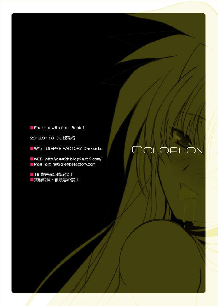 [DIEPPE FACTORY Darkside (Alpine)] FATE FIRE WITH FIRE Book. I (Mahou Shoujo Lyrical Nanoha) [Digital] page 48 full