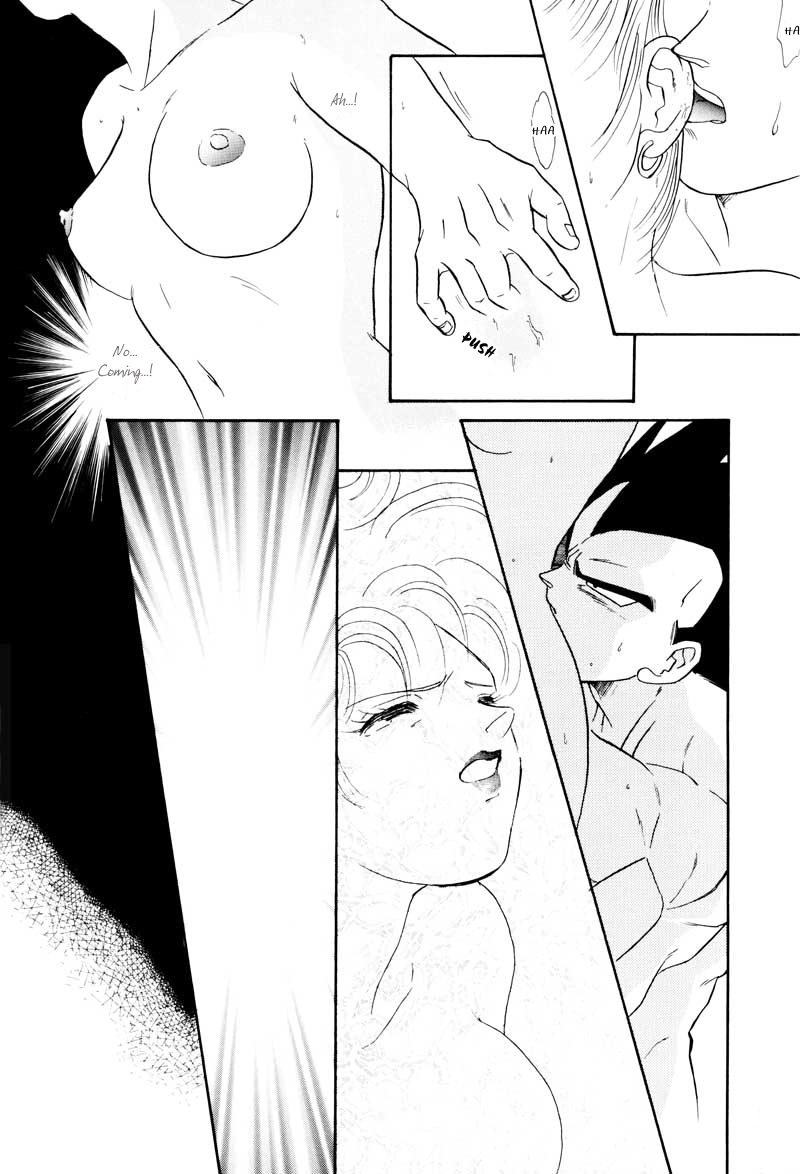 (C61) [Ryujin-kai (HITO Ribuki)] Saru no Fukou wa Mitsu no Aji | The Monkey's Misery is a Secret Pleasure (Dragon Ball Z) [English] [Arigatomina] page 17 full