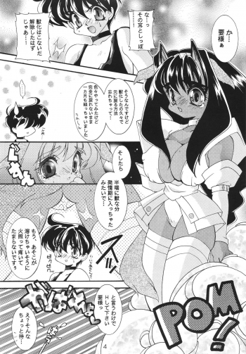 (C53) [SXS (Hibiki Seiya, Ruen Roga)] Childhood's End - page 4