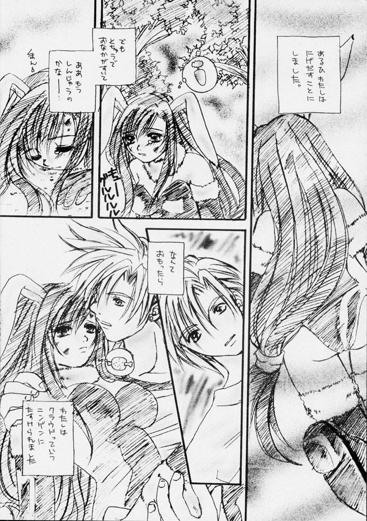 (C59) [Nanabangai No Tengoku (Shiina Haduki)] Usagi No Hitorigoto (Final Fantasy VII) page 5 full