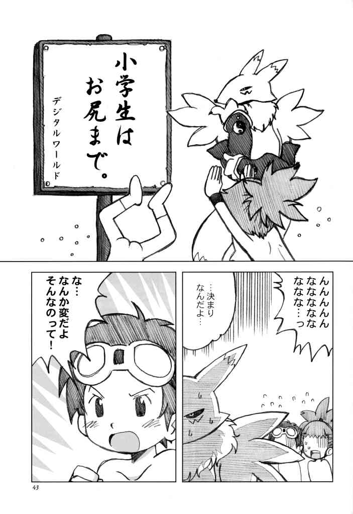 [Ukkaridou (Inari Satsuki, Shimazu Isami)] Love Love Funny (Digimon Adventure 02) page 42 full