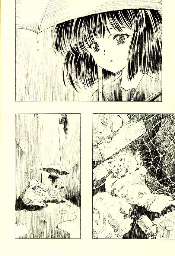 (CR31)[Henrei-kai (Kawarajima Koh)] Hotaru Ame (Bishoujo Senshi Sailor Moon) page 19 full