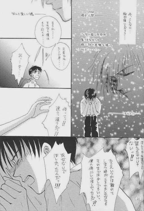 [Zaougumi (Zaou Taishi)] Lost Sheep (Neon Genesis Evangelion) page 21 full