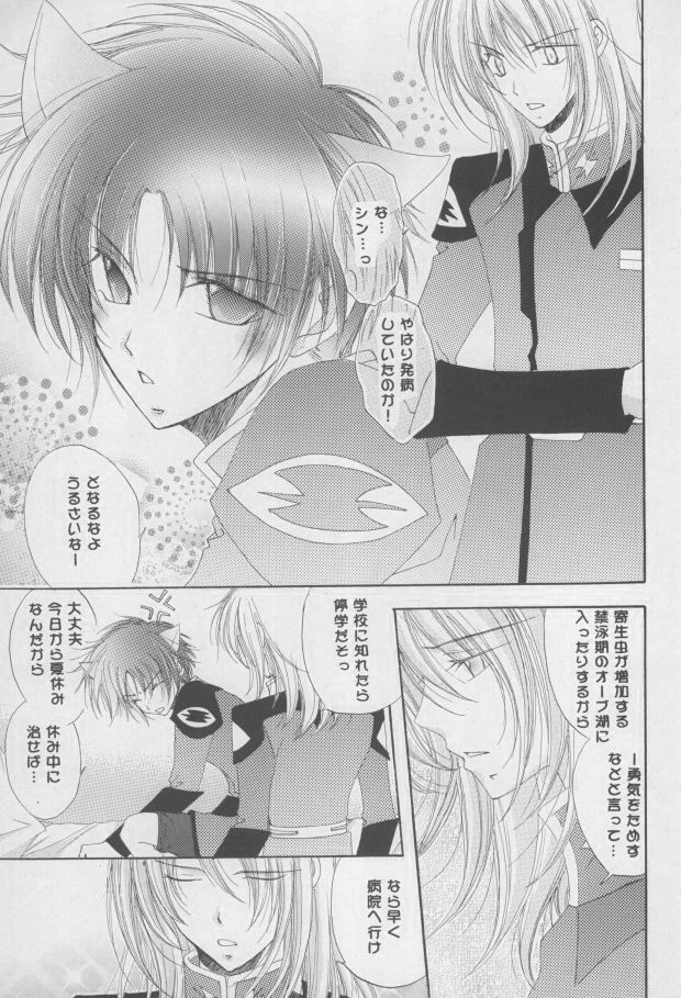 (C68) [Mutsuharu (Kagami Haruki)] Nekomimi Zouryouchuu (Gundam SEED DESTINY) [Incomplete] page 4 full