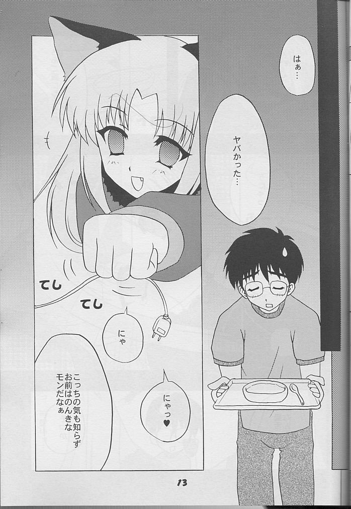 [Studio Black Cats (Tsumori (AZR) Minato)] Black Cats 14 Hanten Kuroneko Musume (Tsukihime) page 12 full