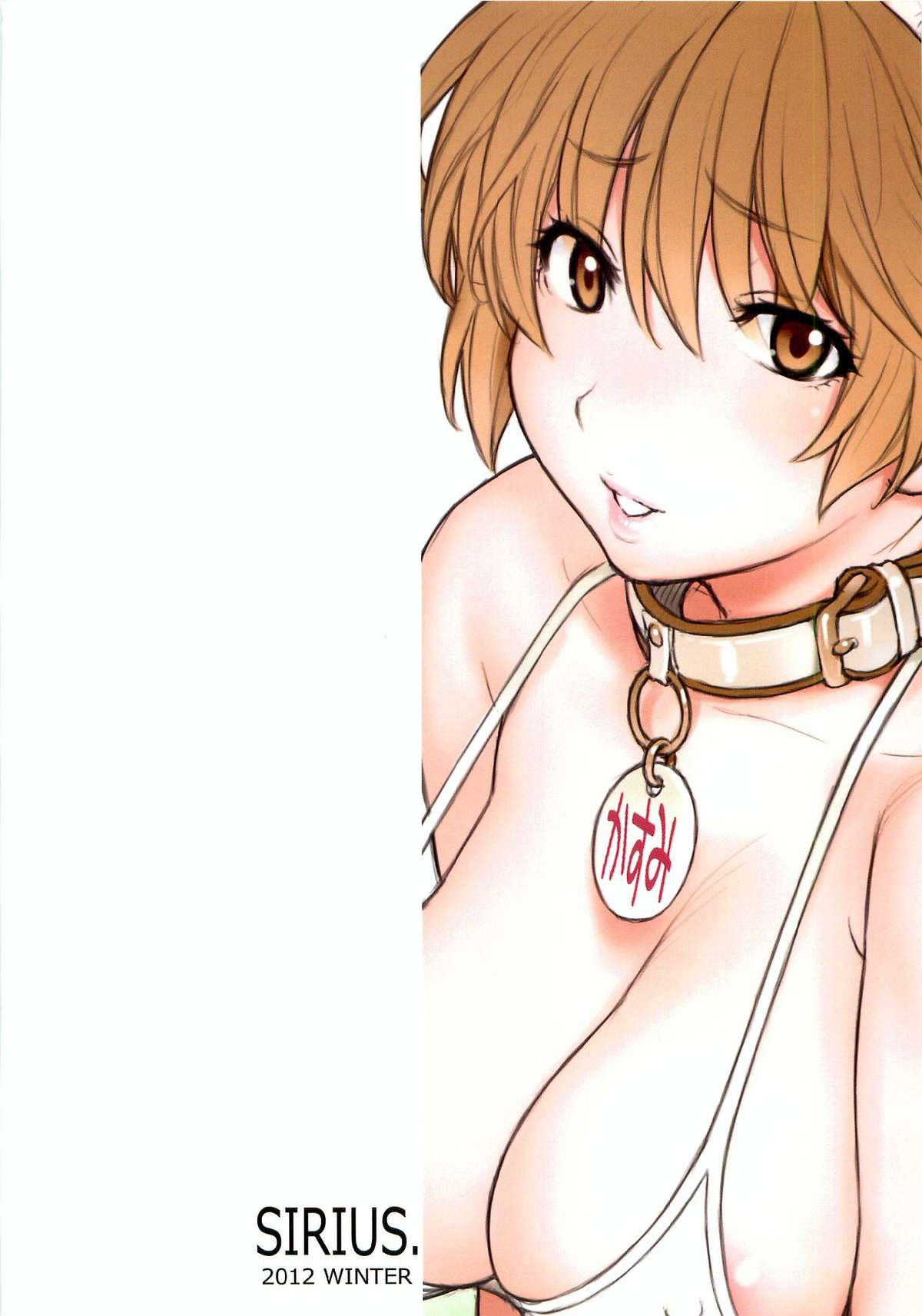 (C83) [SIRIUS. (Kiriyama Taichi)] Kasumi-chan to Nobetumakunashi 4 (Dead or Alive) page 2 full