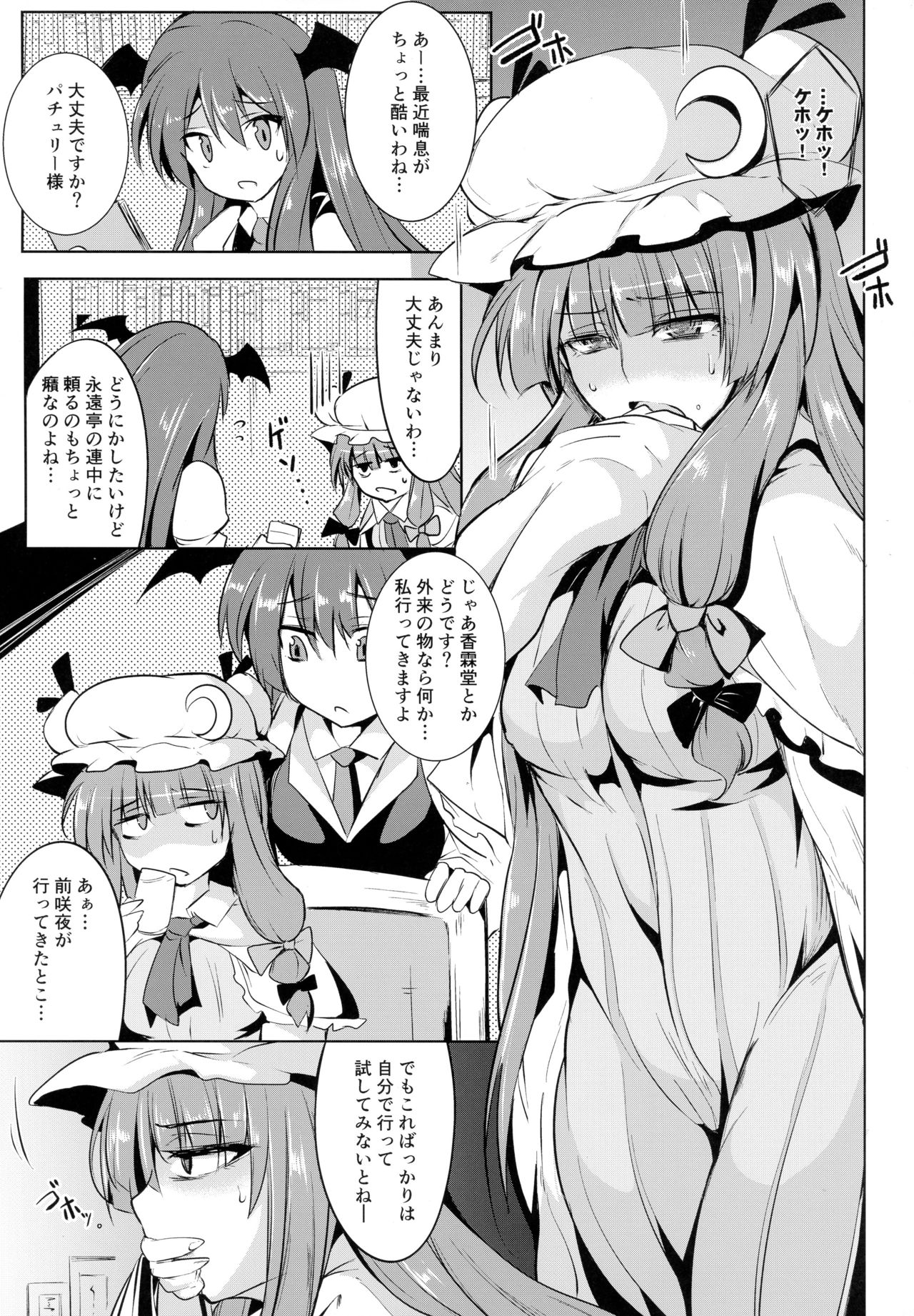 (Reitaisai 14) [MegaSoundOrchestra (Sanwaribiki)] Gensou Enkou -Knowledge- (Touhou Project) page 4 full