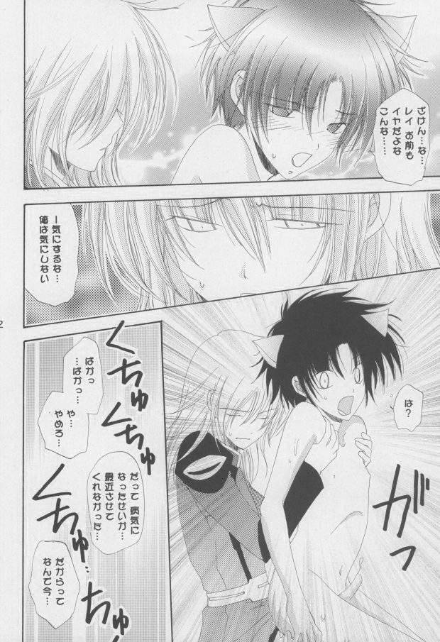 (C68) [Mutsuharu (Kagami Haruki)] Nekomimi Zouryouchuu (Gundam SEED DESTINY) [Incomplete] page 29 full