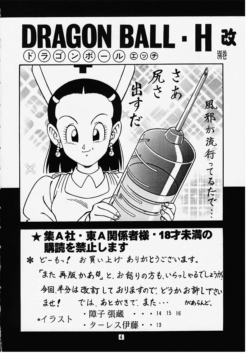 [Rehabilitation (Garland)] DRAGONBALL H Bekkan Toppatsubon Kaiteiban (Dragon Ball Z) page 3 full