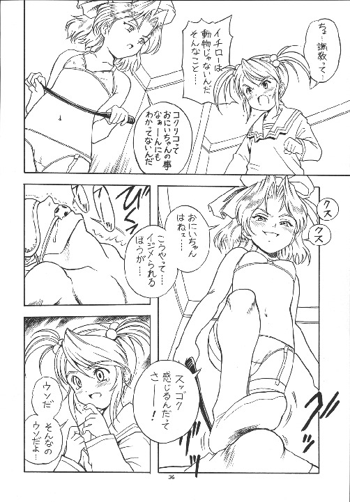 (C63) [Momo no Tsubomi (Various)] EruEru 18 (Various) page 36 full