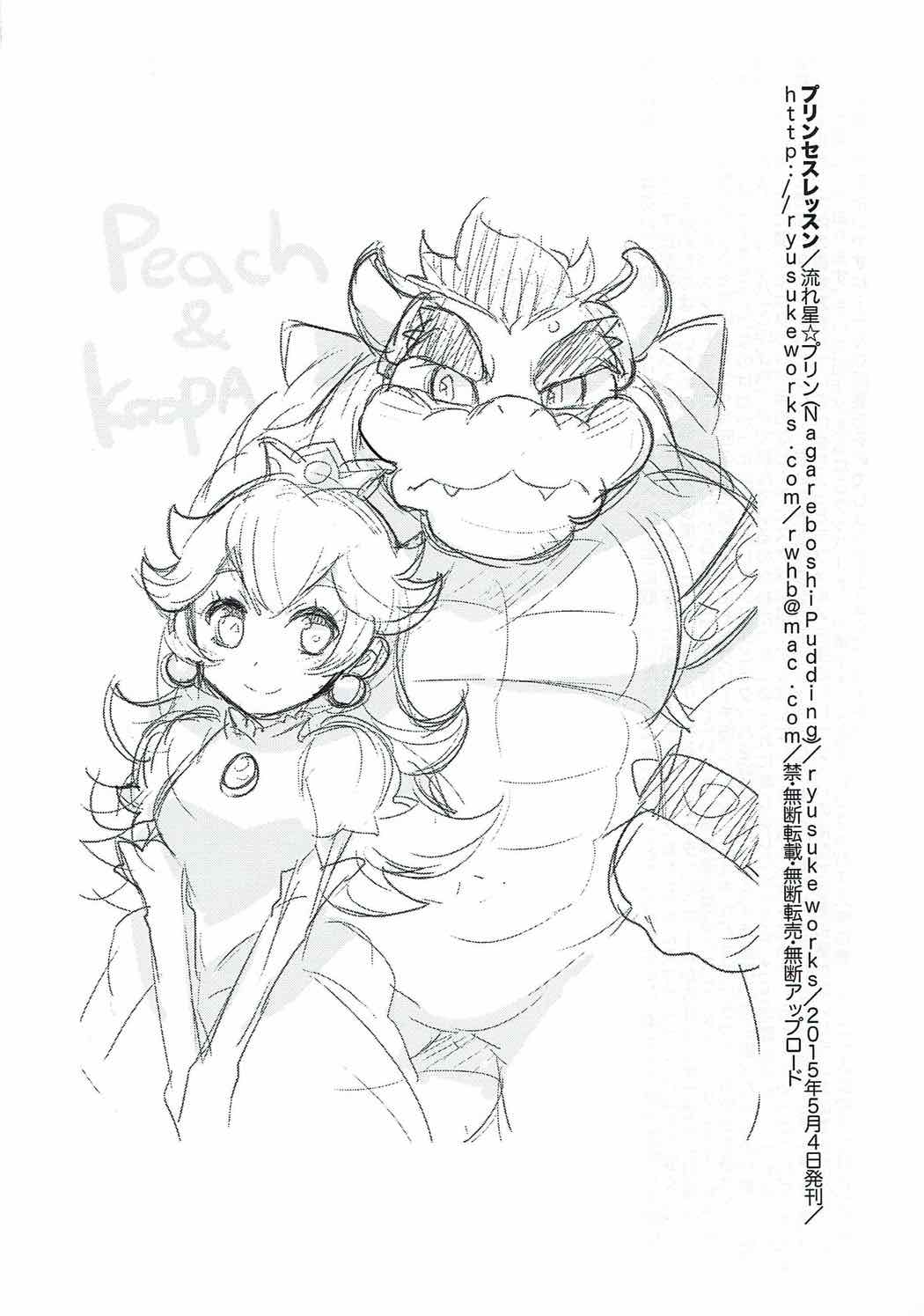 (Kemoket 4) [ryusuke works (Nagareboshi Purin)] PRINCESS LESSON (Super Mario Brothers) page 20 full