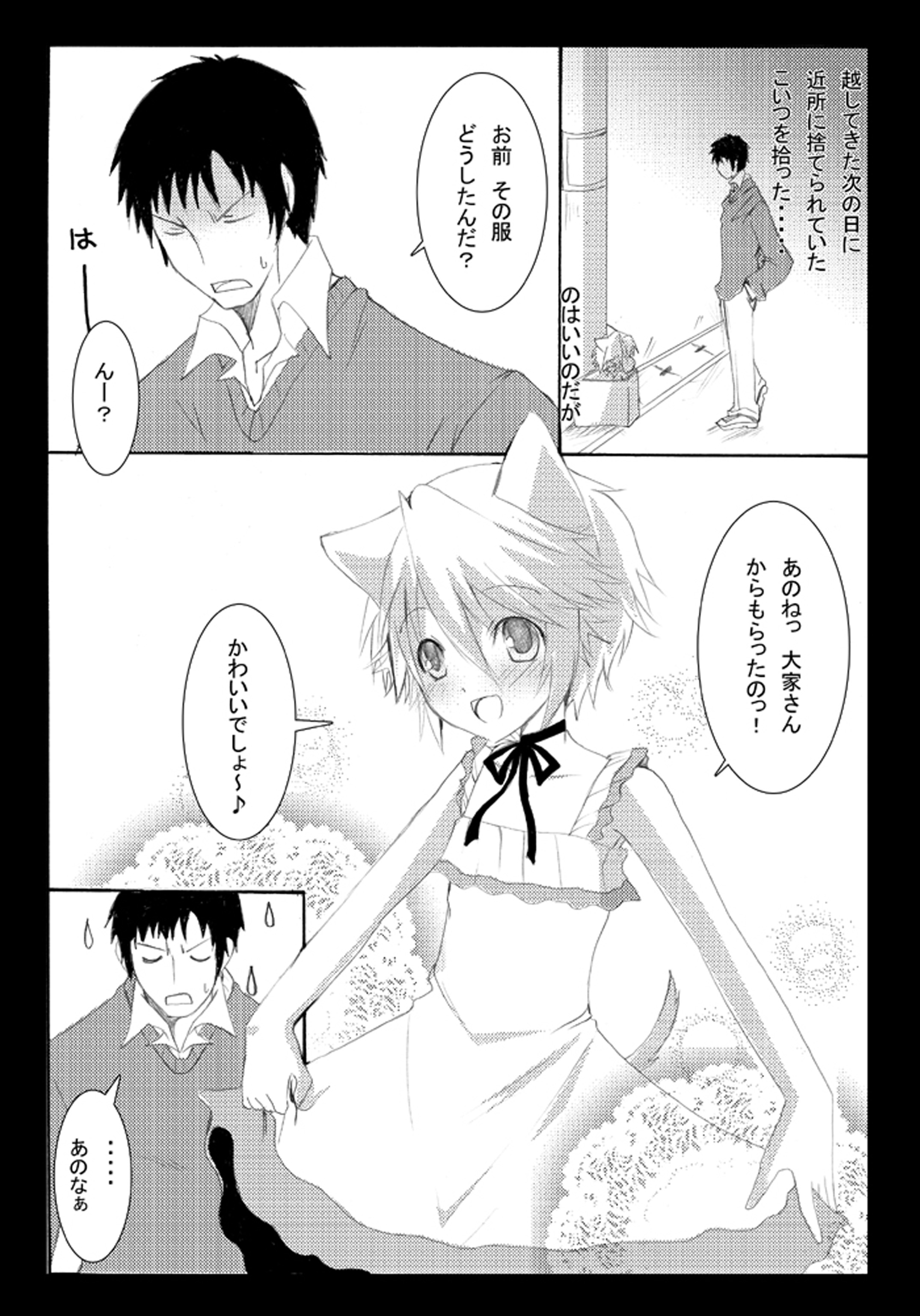 [Seiwa Kanmu (Tamaru)] Nyanko to Nyan Nyan [Digital] page 4 full