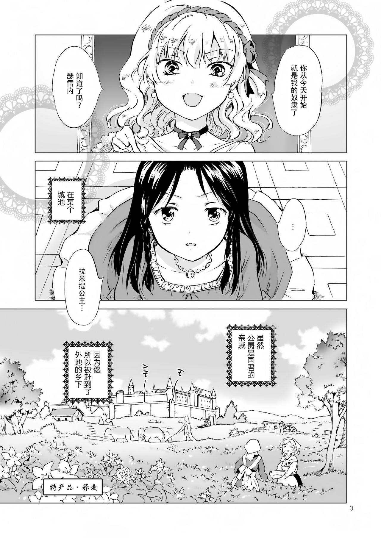 [peachpulsar (Mira)] Hime-sama to Dorei-chan [Chinese] [脸肿汉化组] [Digital] page 3 full