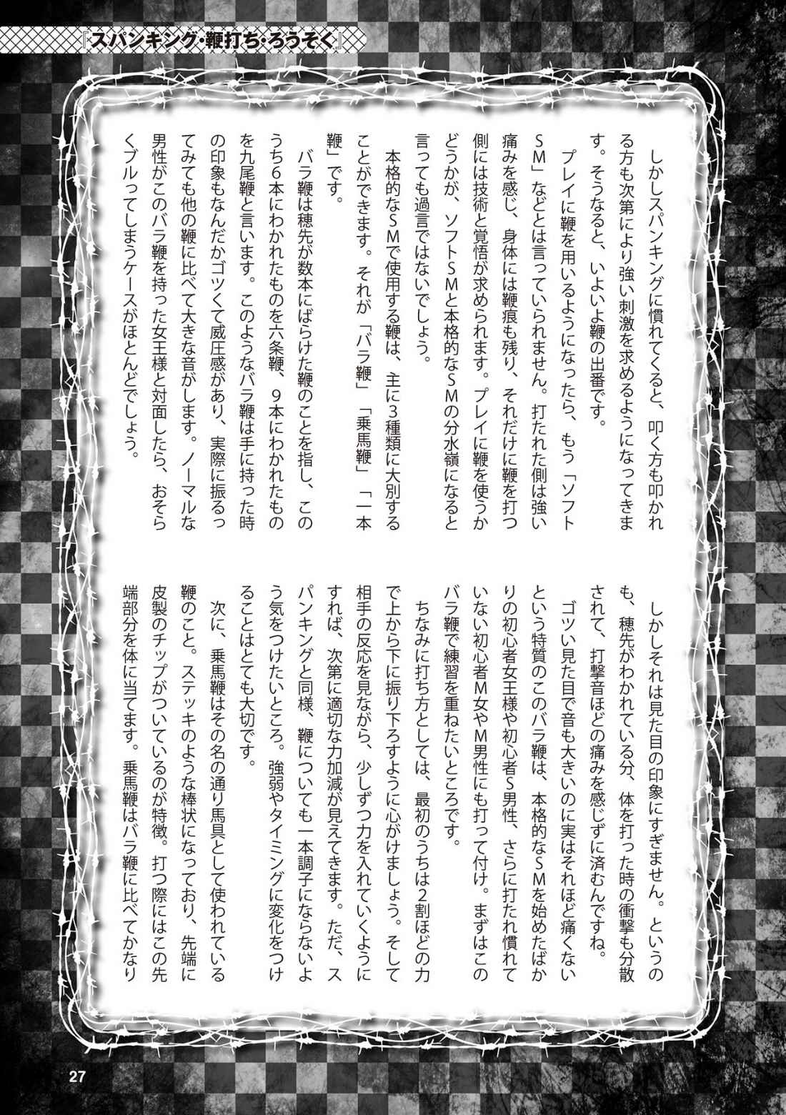 アブノーマル風俗入門 ラブドール風俗から、1000万円の風俗嬢まで page 29 full