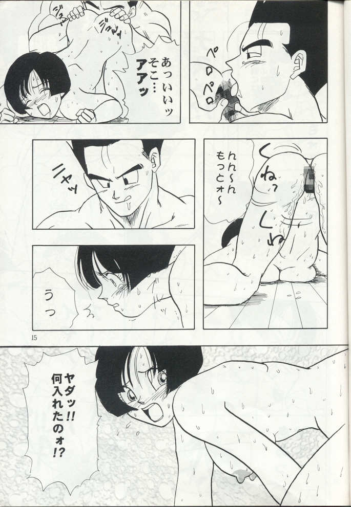 (C50) [Chirigami Goya, Fusuma go Ten (Shouji Hariko)] ZZ (Dragon Ball Z) page 15 full