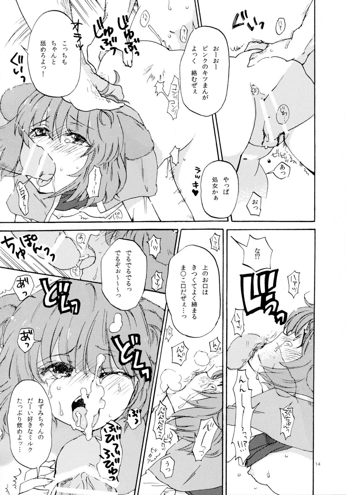 (C77) [Uminari (Narumi)] Tadashii Nezumitori no Tsukaikata. (Touhou Project) page 14 full