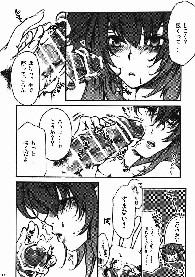 [Tateyoko Hotchkiss (Kikuchi)] Hitotsubu de Nido Deculture ~Clan Clan Taii ga Kyonyu wo Hoji Shitamama no Micronka ni Seikou Shimashita~ (Macross Frontier) page 11 full
