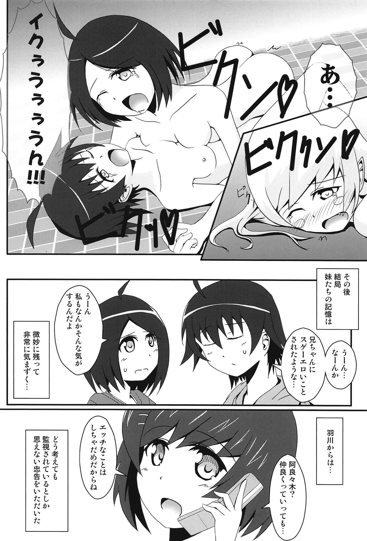 (COMIC1☆6) [S.N.L (Syanal)] Panaino! (Bakemonogatari) page 27 full