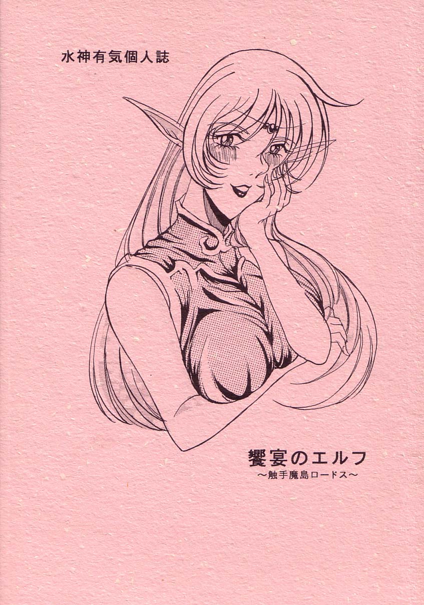 (C66) [WHITE ELEPHANT (Mizukami Yuuki)] Kyouen no Elf ~Shokushu Mashima Lodoss~ (Record of Lodoss War) page 28 full