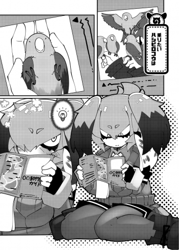 (C95) [Nanafundou (Nananana Nanana)] Doubutsuen no Hashibirokou wa 4 (Kemono Friends) - page 4