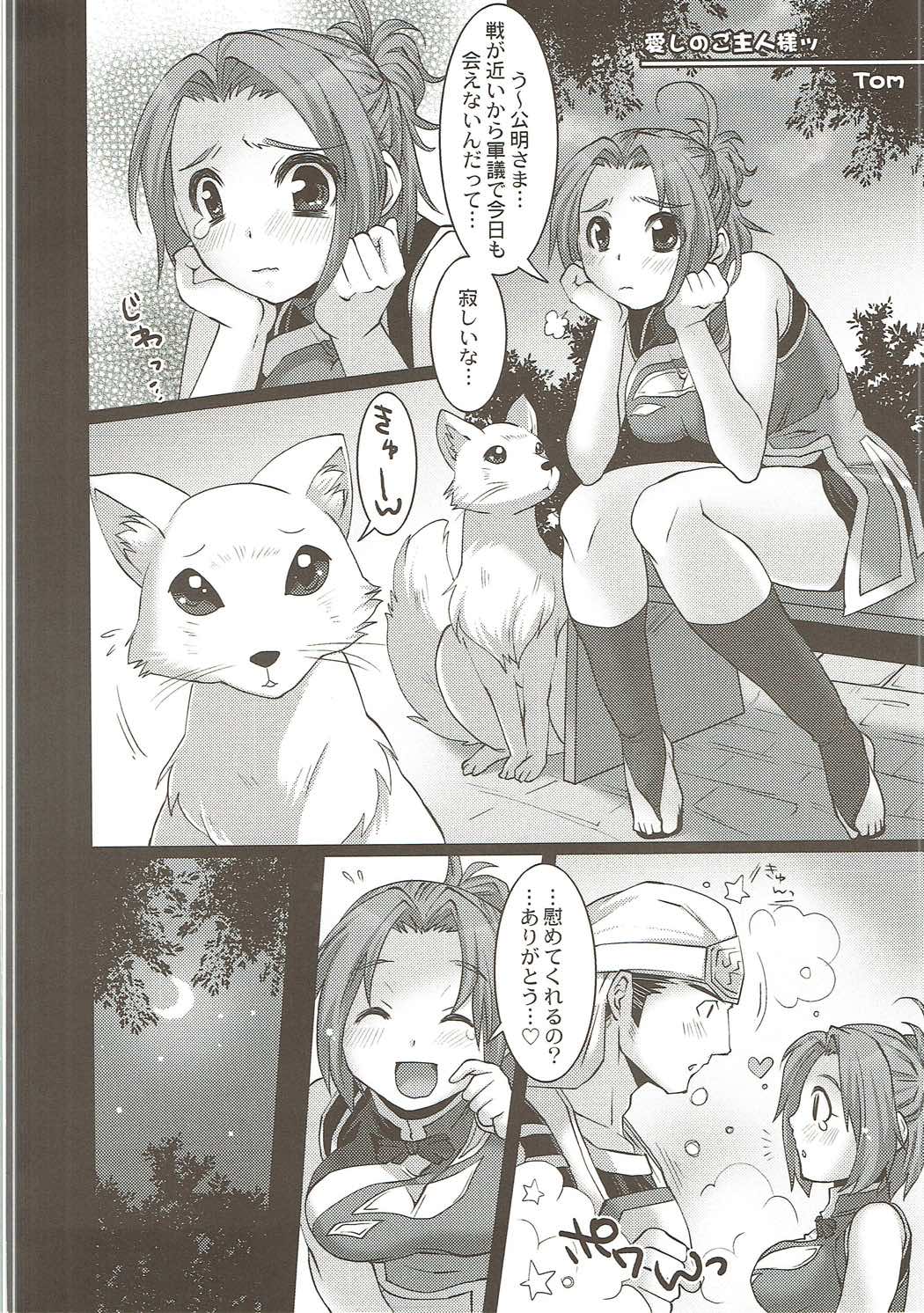 (C87) [H.A.O (Tom)] H.A.O Colle 2 (Shin Sangoku Musou) page 3 full