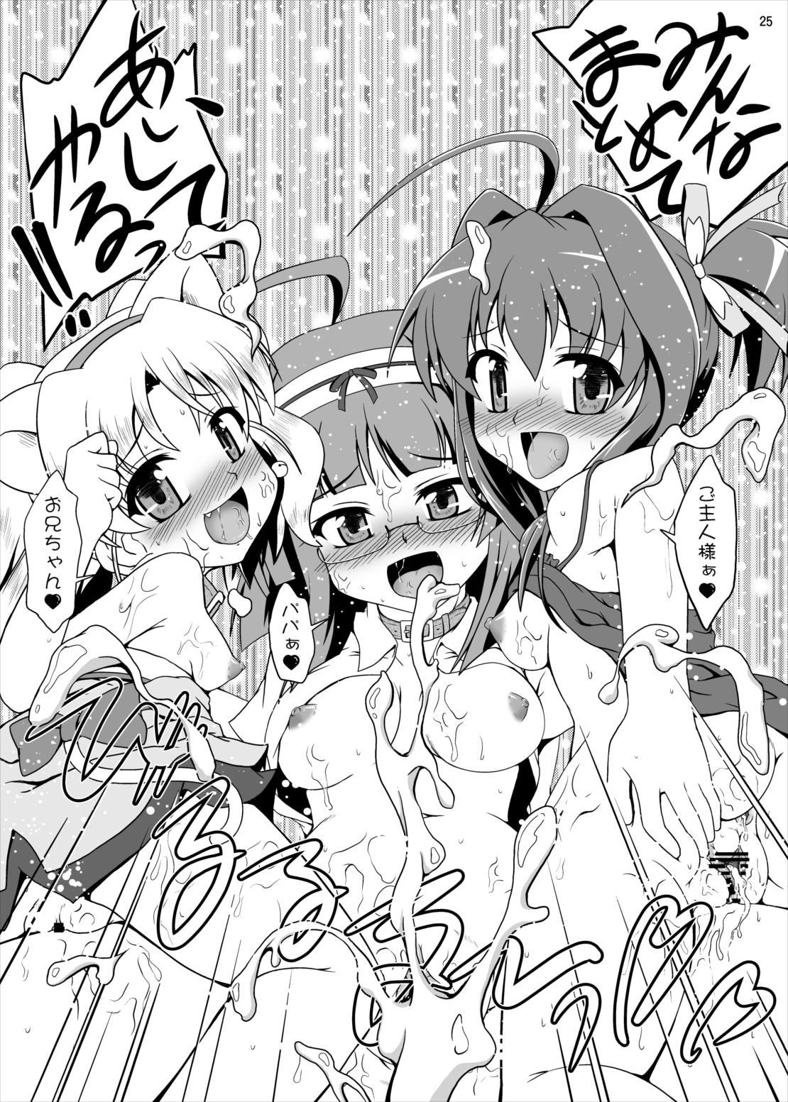 (C79) [Kamepotel (Izuki Jirou)] Freeter, Pet o kau!? (Jewelpet Twinkle) page 24 full