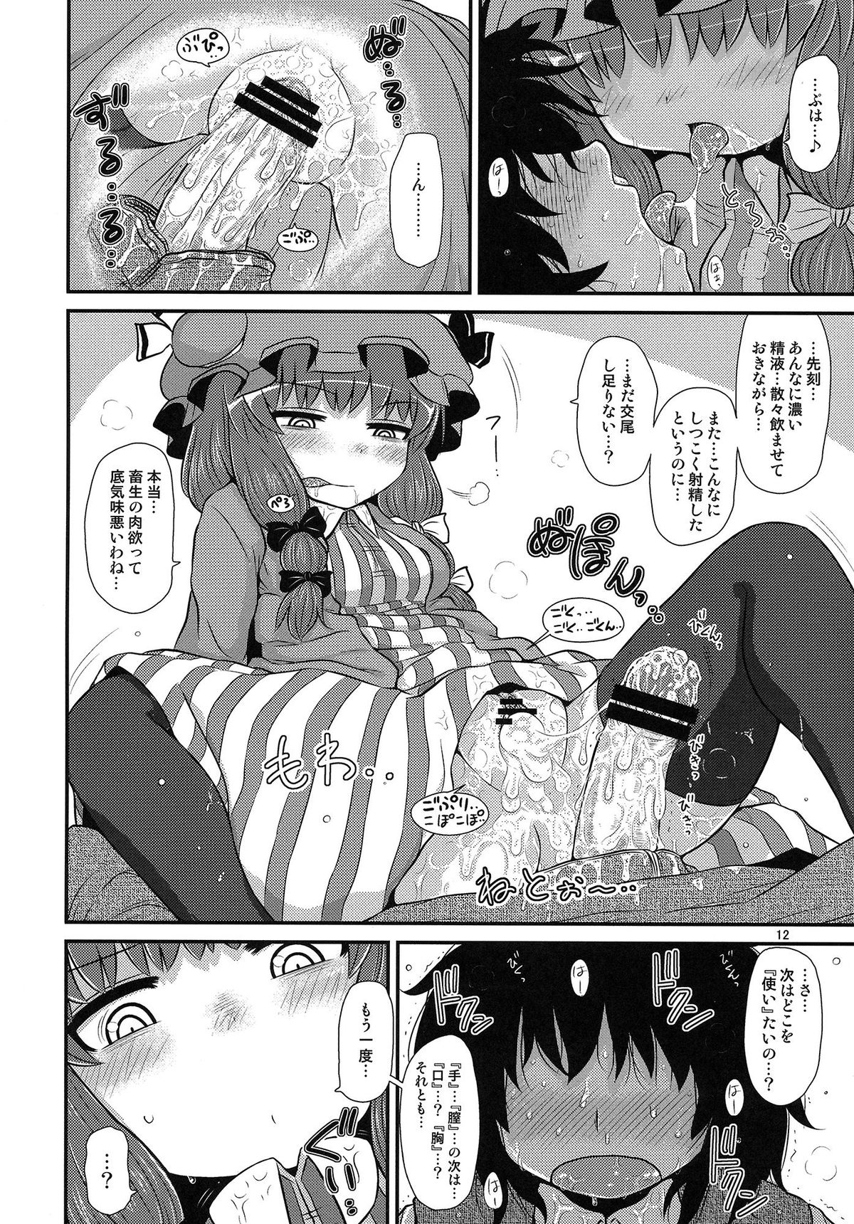 (C85) [Fugudoku (Katou Fuguo)] Suru dake Bangai. (Touhou Project) page 11 full