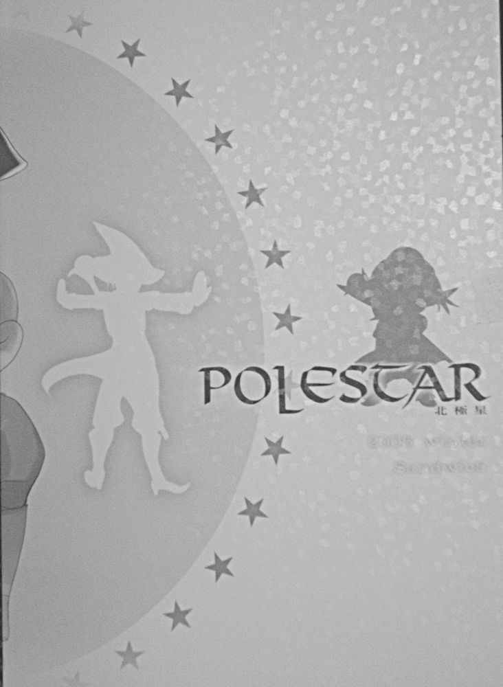 (C69) [Sandwich (Ham)] Polestar (Final Fantasy XI) page 32 full