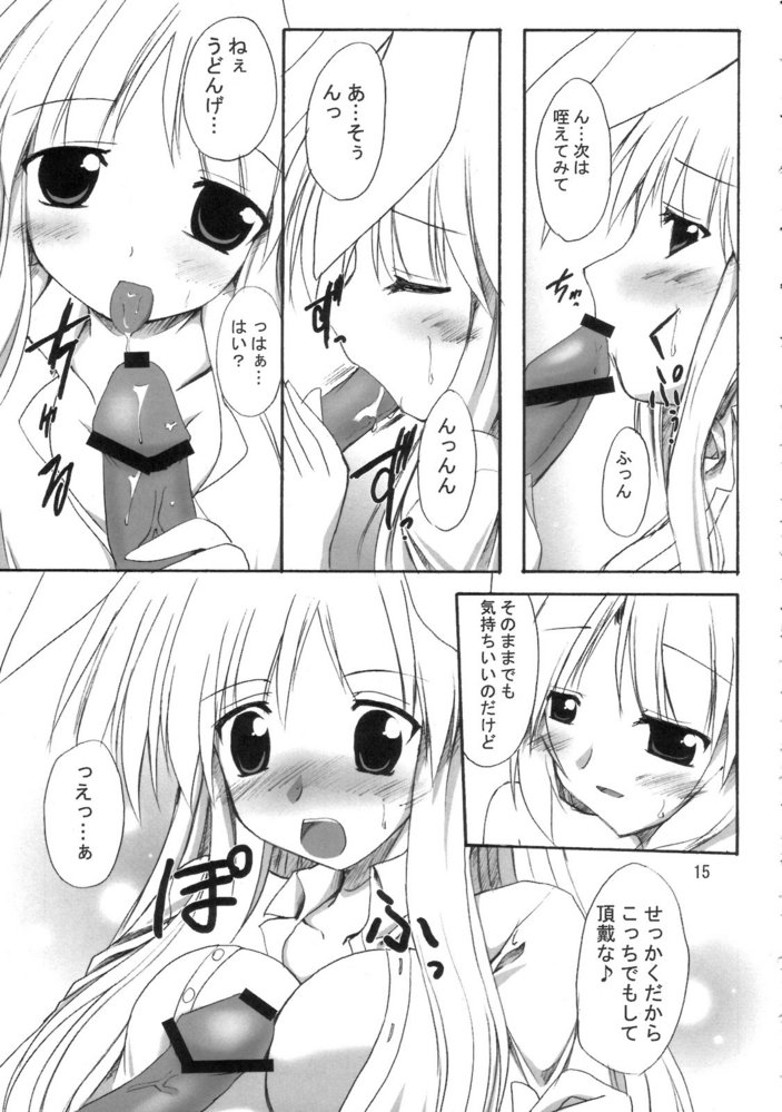 (SC33) [Yuugen Jikkou (Gonzaburo-)] Mousou Tsukinousagi (Touhou Project) page 14 full