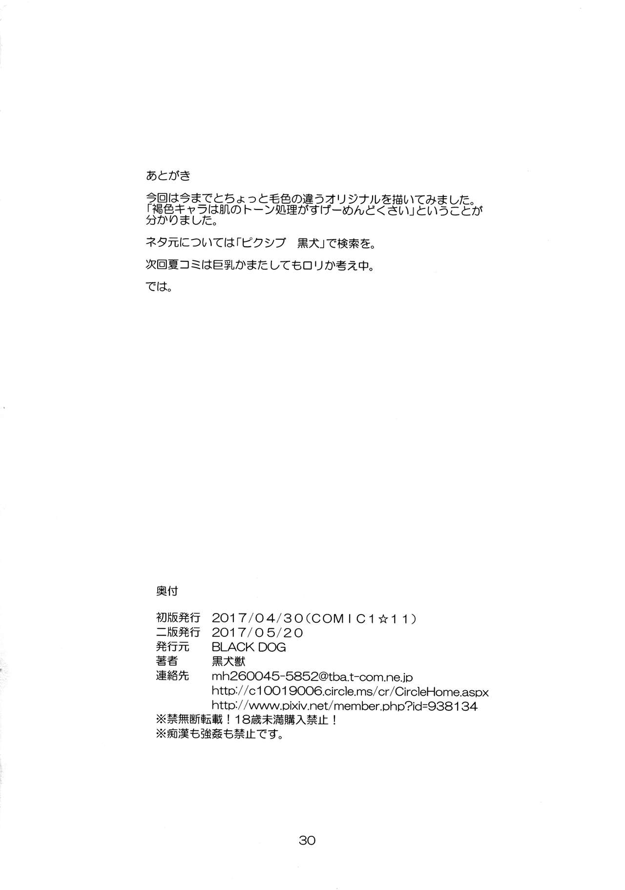 [BLACK DOG (Kuroinu Juu)] Mesu Goblin o Dorei ni Shimashita [Chinese] [小俠個人漢化] [2017-05-20] page 29 full