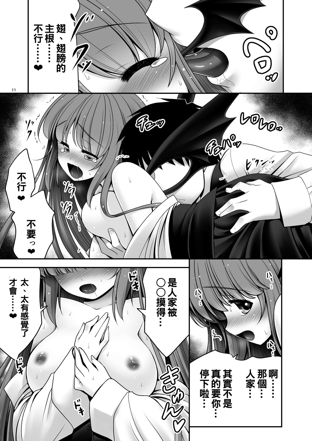 [Yosutebito na Mangakaki (Tomoki Tomonori)] Ubuna Akuma ni Tehodoki o (Touhou Project) [Chinese] [oo君個人漢化] [Digital] page 11 full